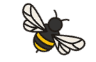 FullLogo_Transparent-1-e7d4d6a (1) FullLogo_Transparent-1-e7d4d6a (1)