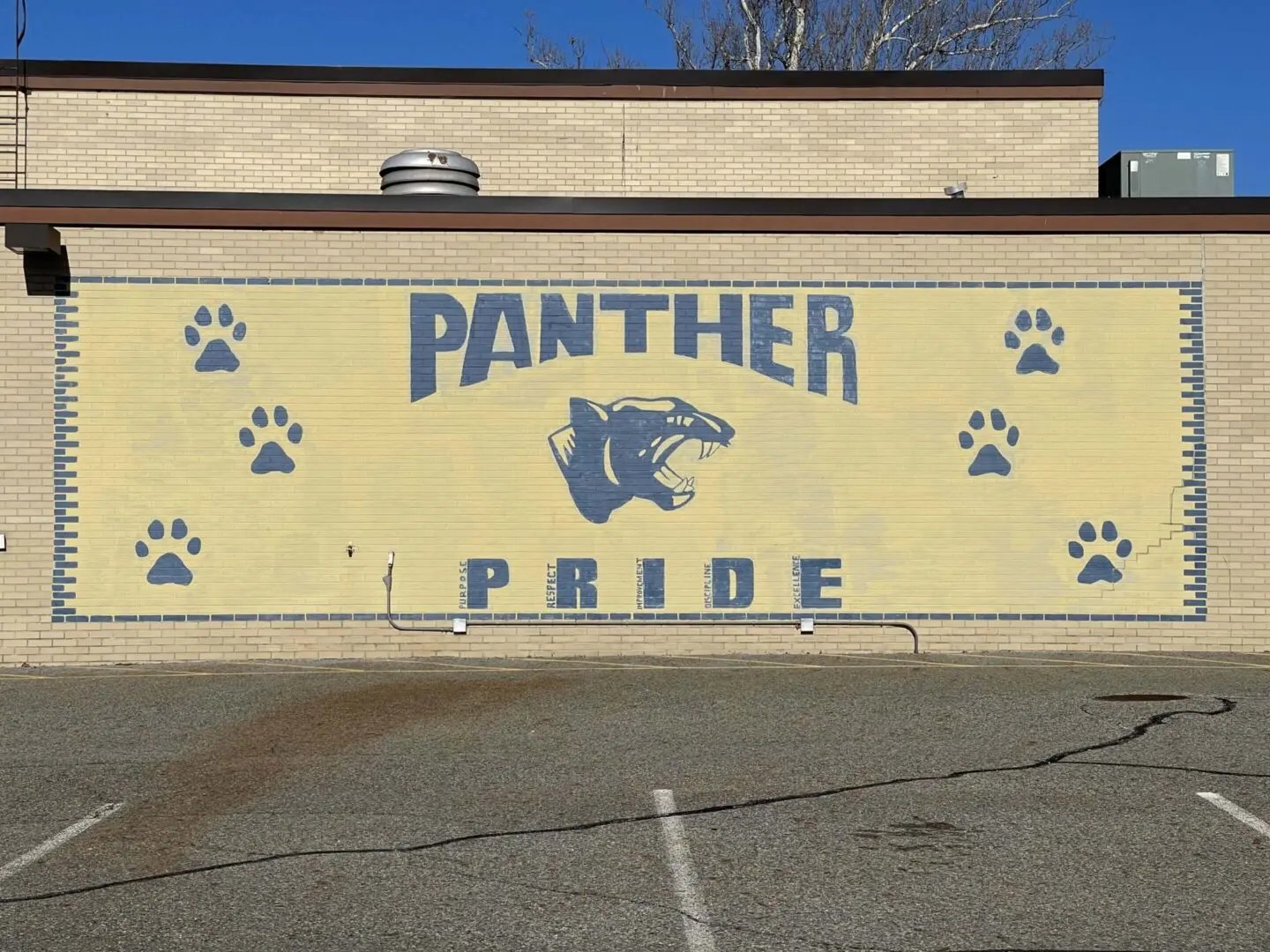 "Panther Pride" in the Pequannock School district refers to the strong community spirit, support for athletics (Golden Panthers), and recognition programs for student achievement, especially at Pequannock Township High School and Pequannock Valley Middle School, embodied by the mascot "Golden Panthers"