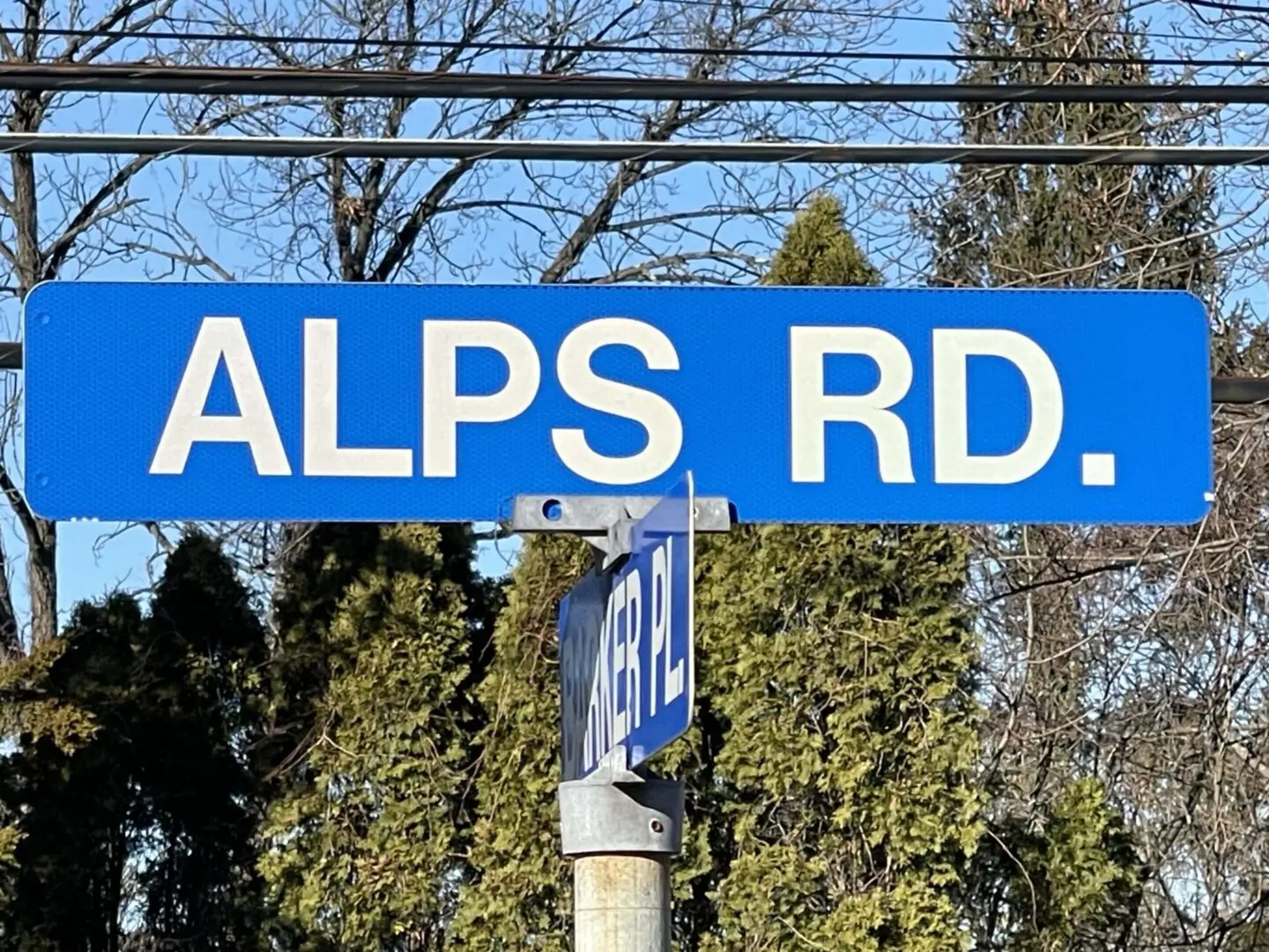 alps road wayne nj